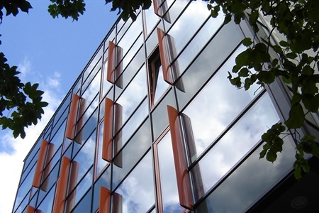 Aenean congue augue pulvinar